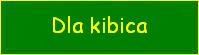 Dla Kibica